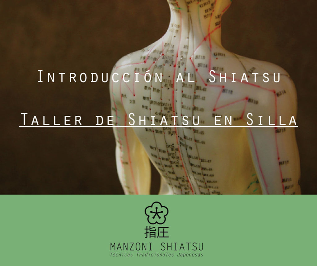 Taller Shiatsu Silla